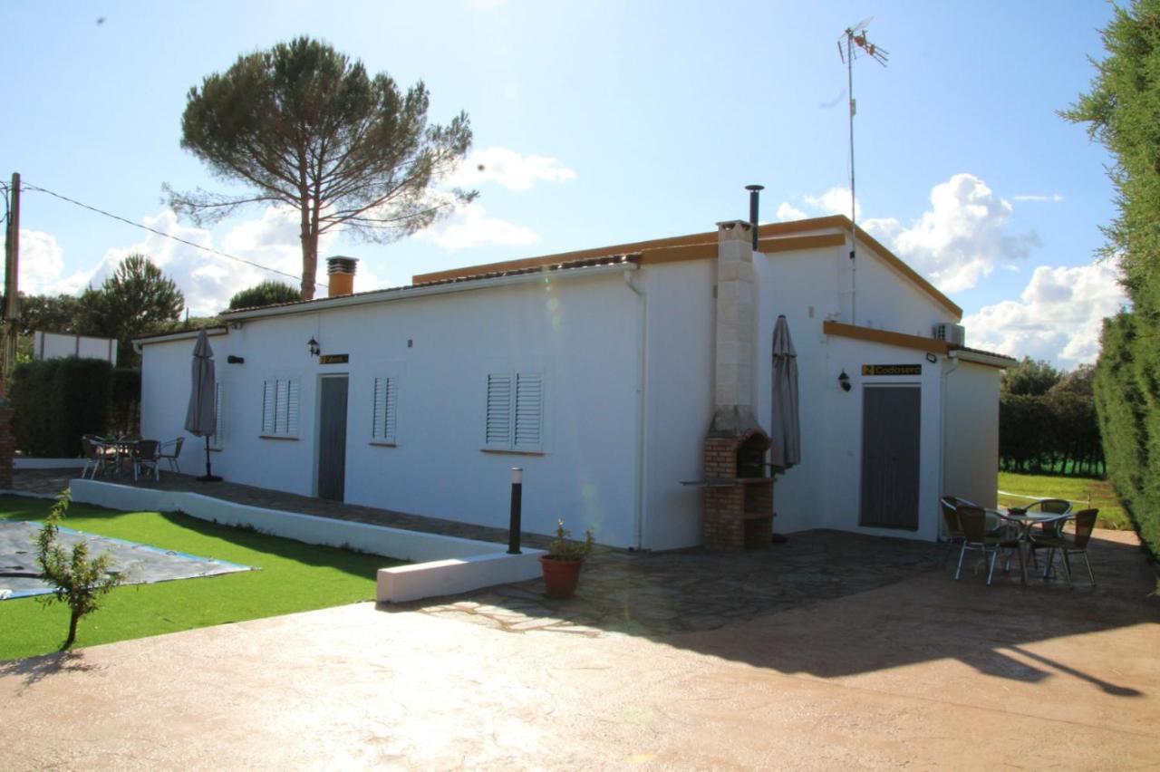 Alojamientos Rurales La Codosera Exterior photo